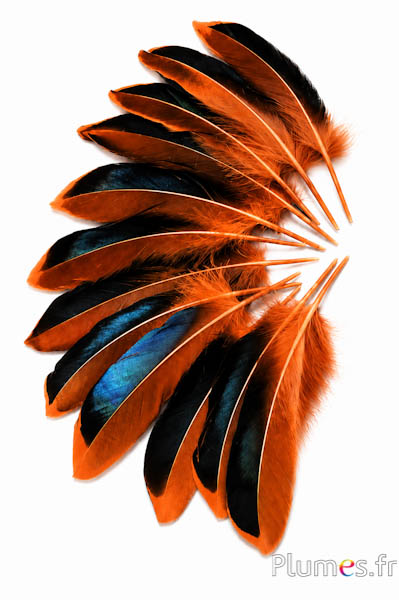 Anatra - 8-10 cm - azteco dorato